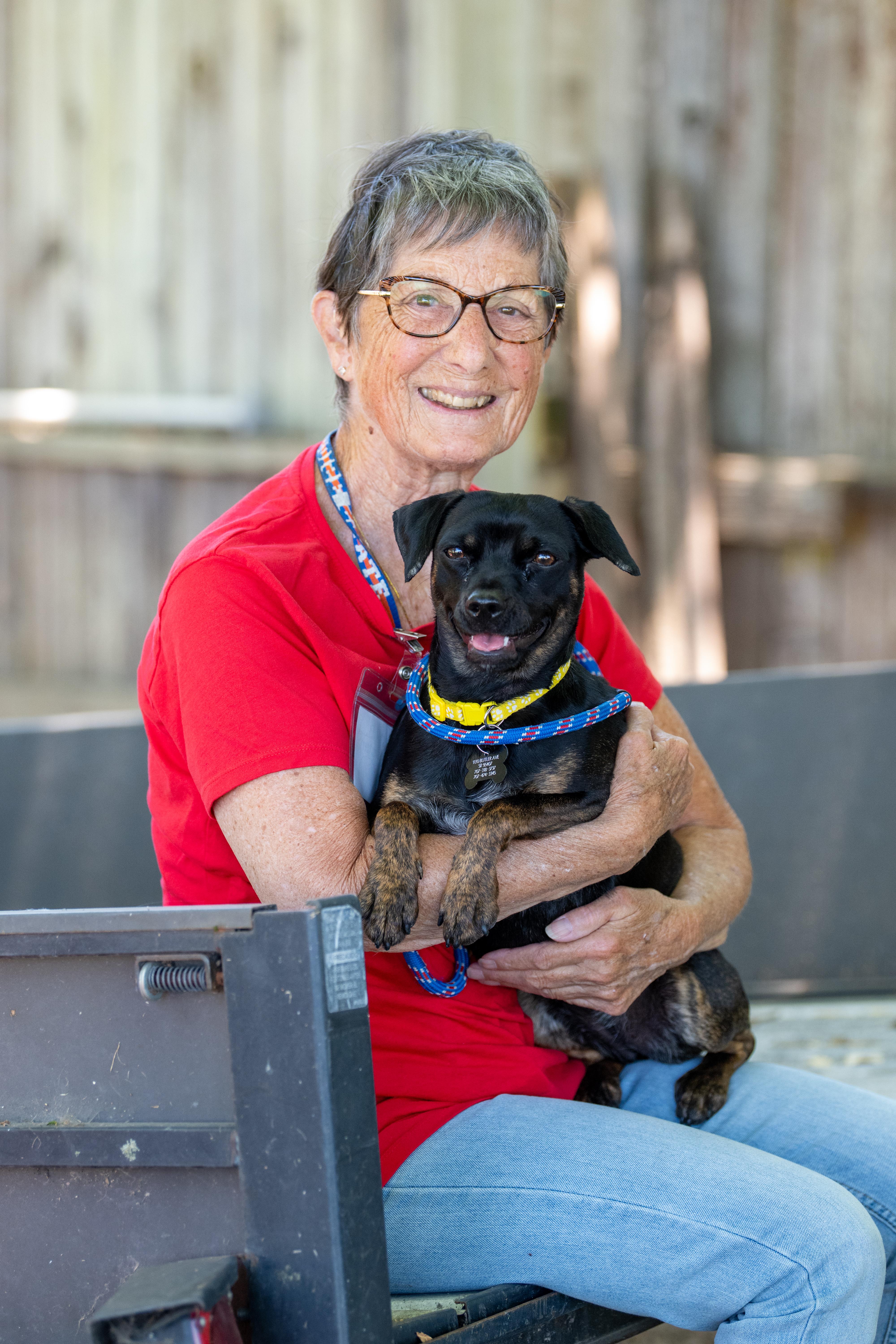 Jazz, a ADOPTABLE mixed breed in Santa Rosa, CA image 3/5