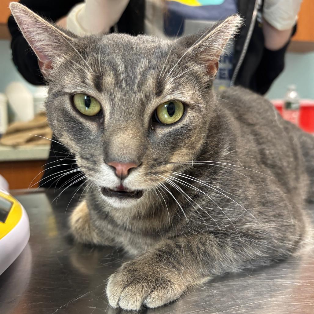 Keppra — thumbnail 3