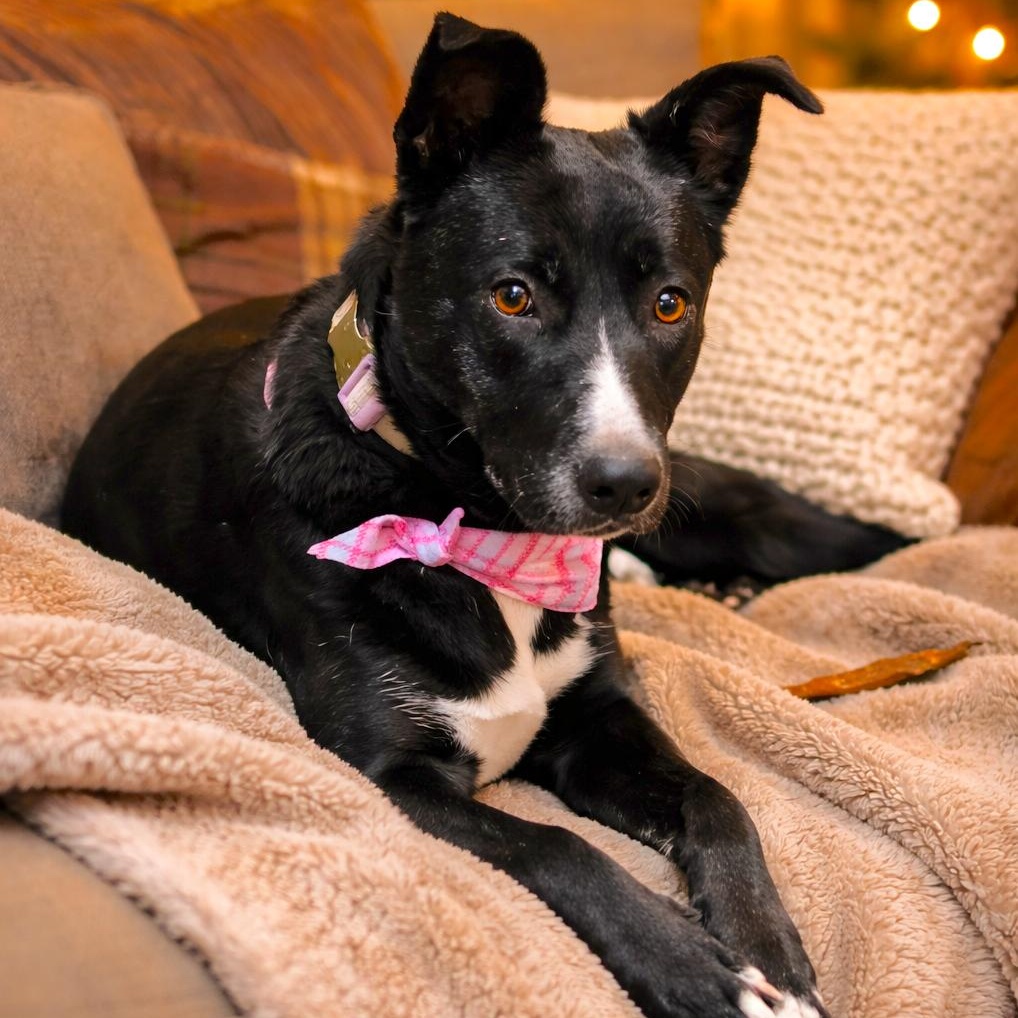 Soley — thumbnail 3