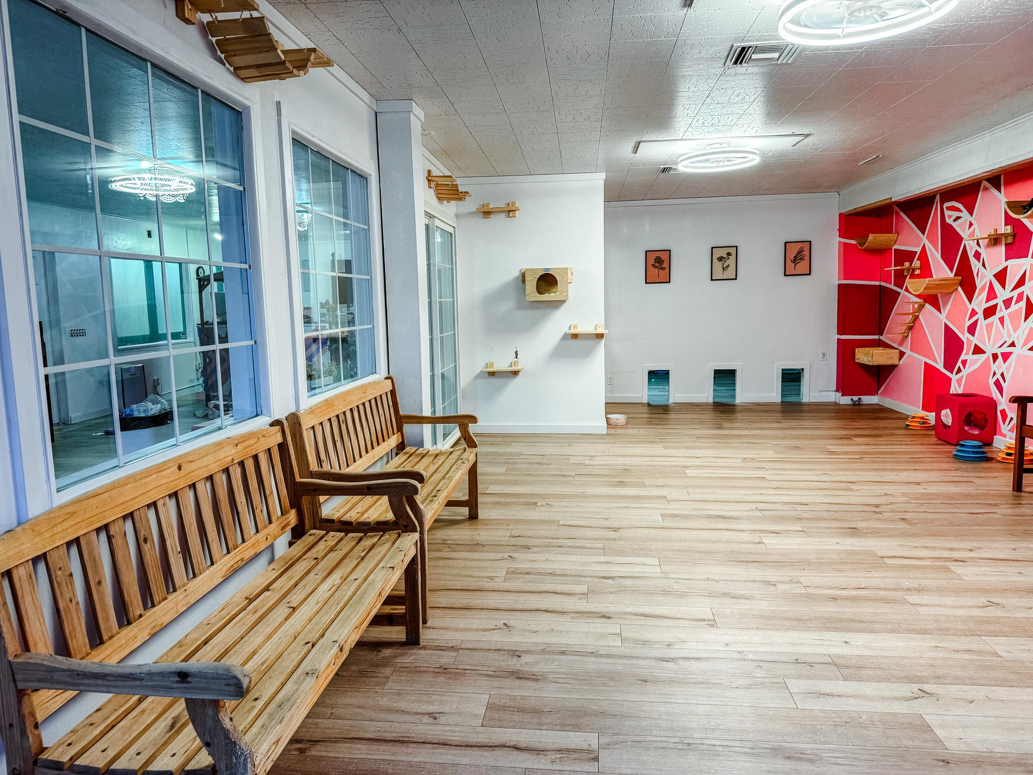 Marjorie, a Adoptable mixed breed in Newberg, OR image 4/4