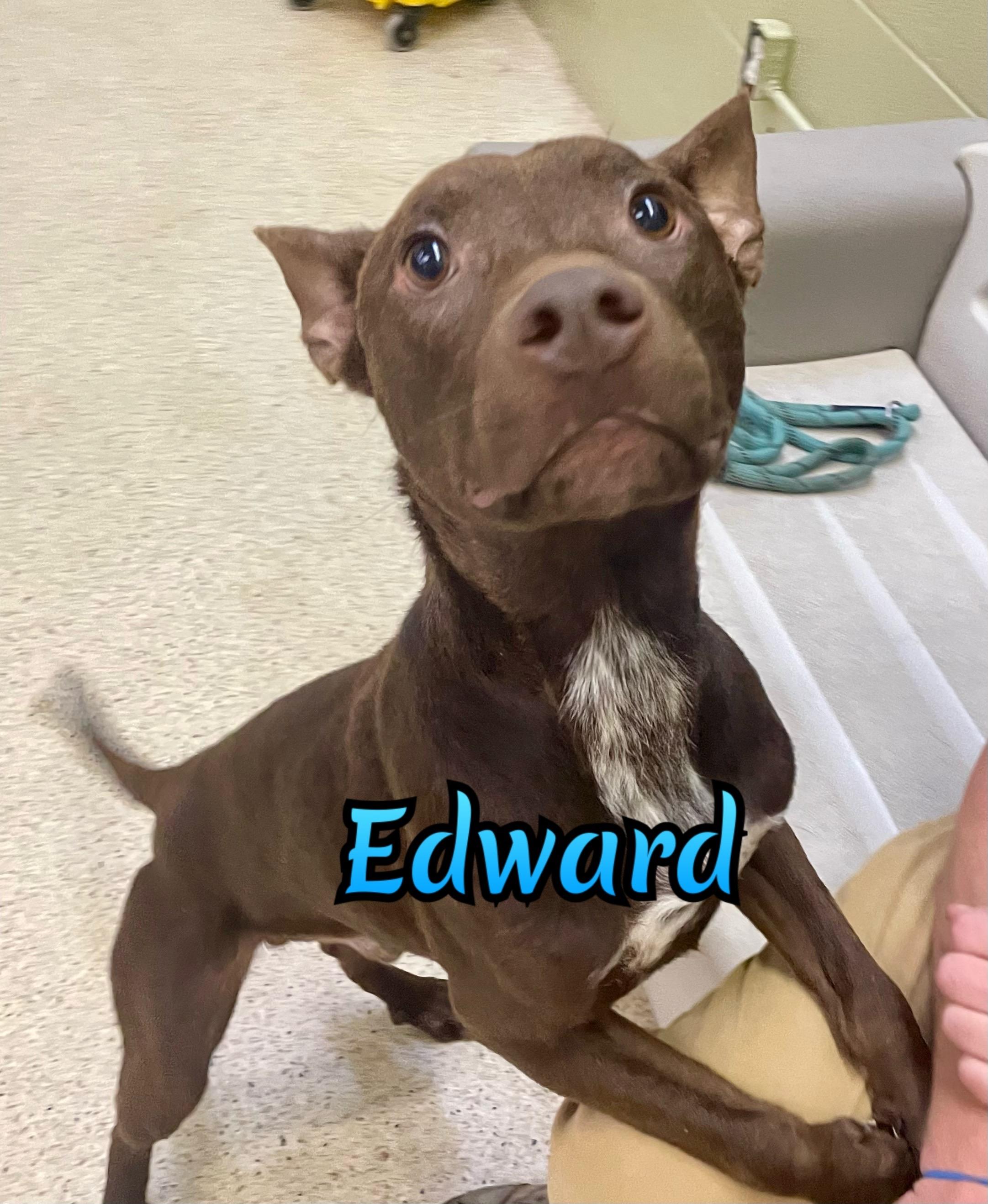 Edward