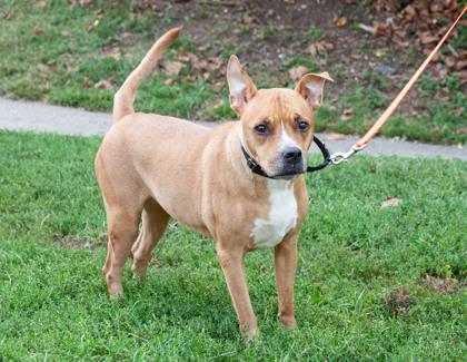 Skittles — thumbnail 3