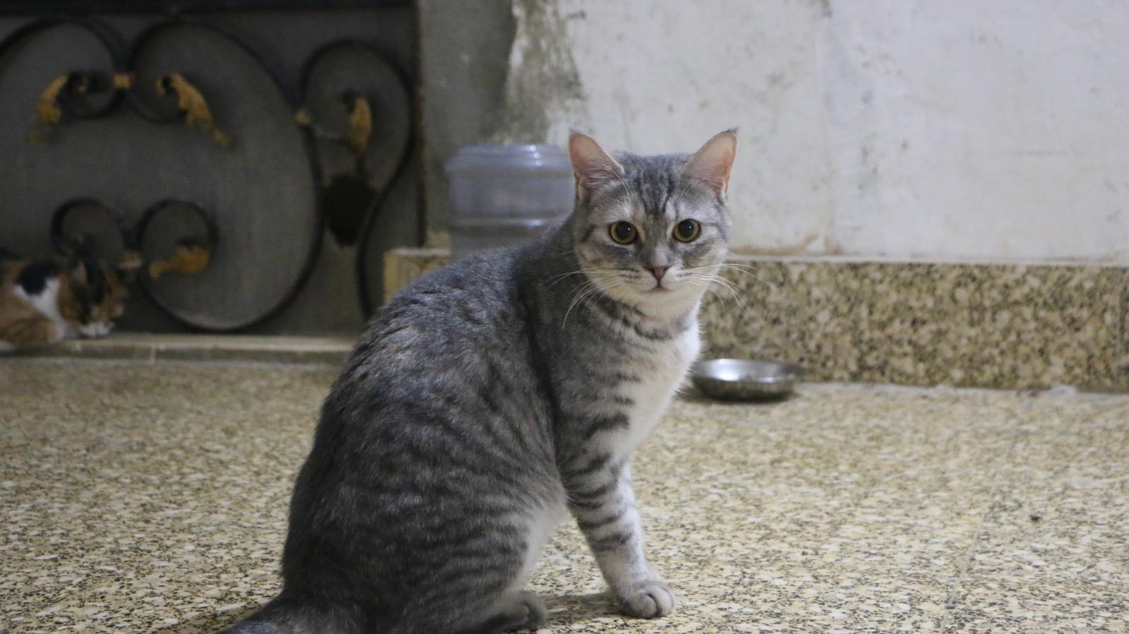 Lola M photo 3