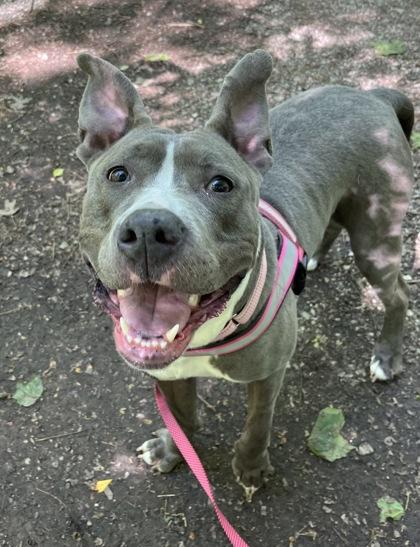 Unca — thumbnail 2