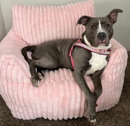 Unca — thumbnail 3