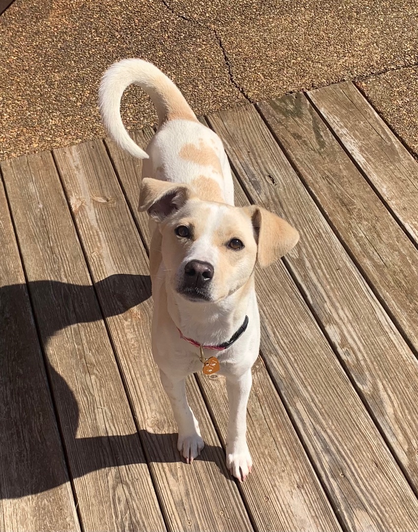 Kiki the Cutie  1