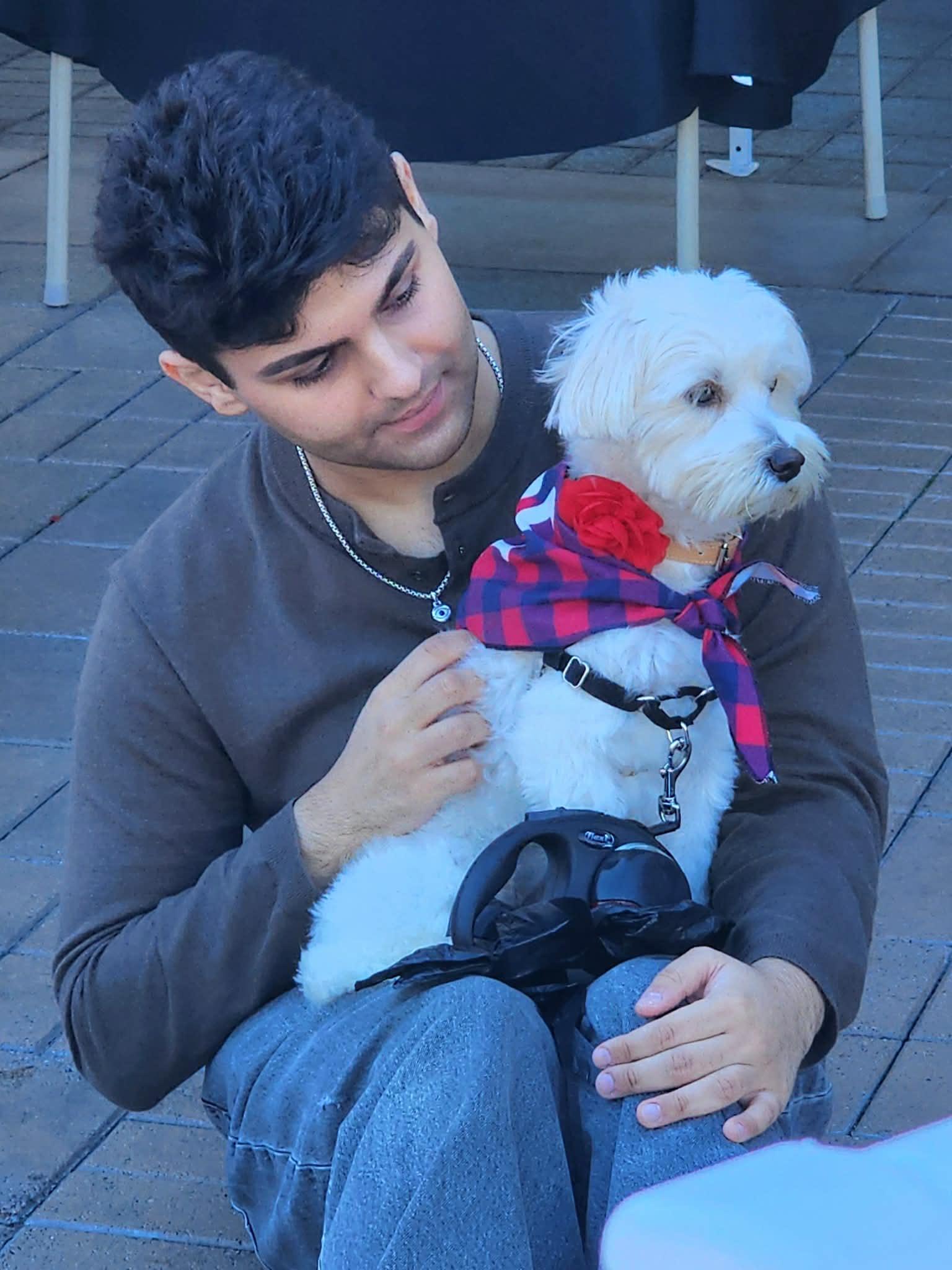 Bree, an adopted mixed breed in Corona Del Mar, CA image 3/5