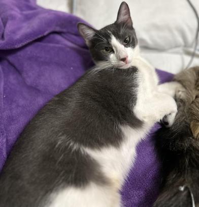 Pumpkin Spice — thumbnail 5