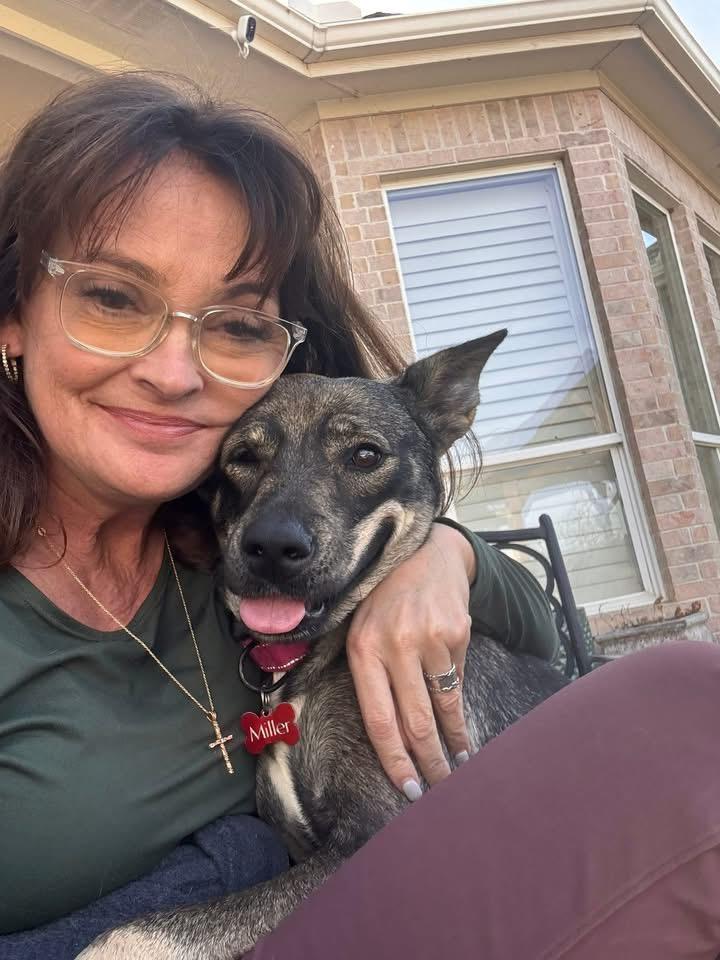 Enlarge Dia, an adoptable mixed breed in Southlake, TX image 5/6