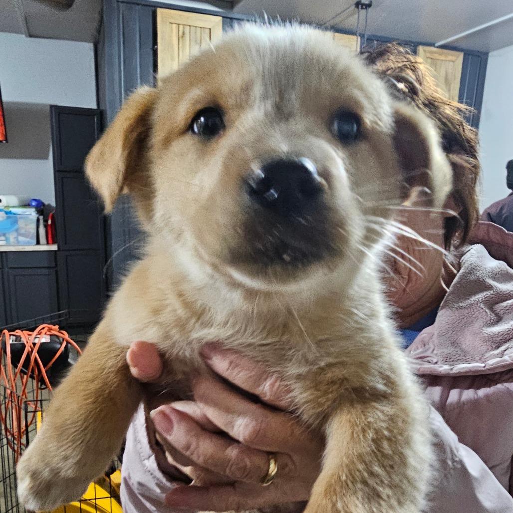 Tatortot thumbnail 2