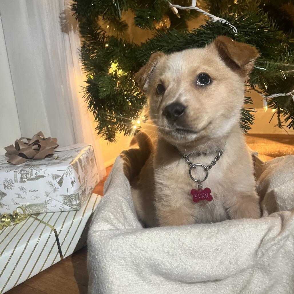 Tatortot thumbnail 3