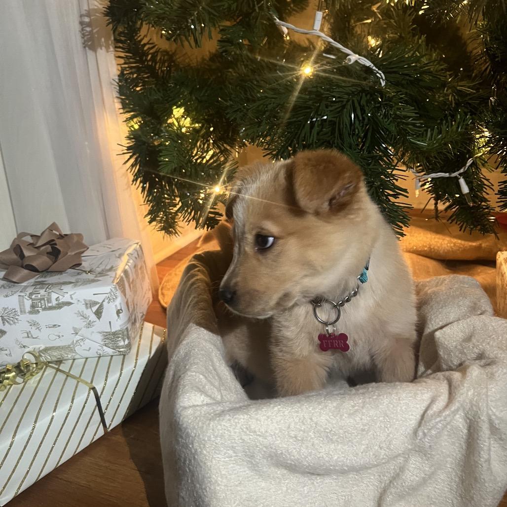 Tatortot thumbnail 4