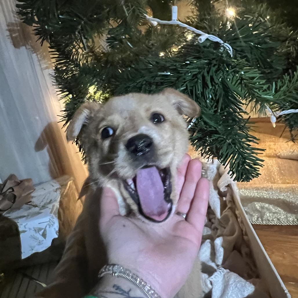 Tatortot thumbnail 5