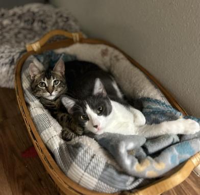 Pumpkin Spice — thumbnail 5