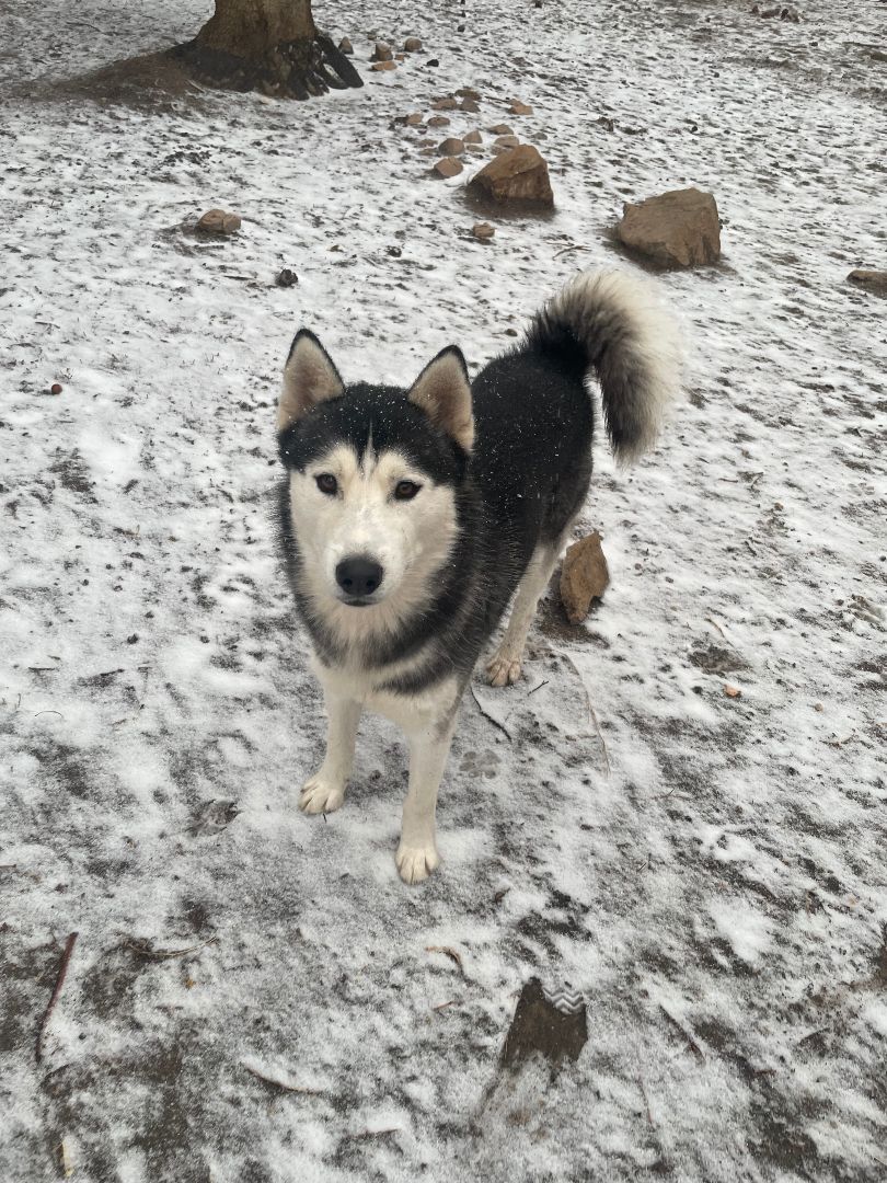 Zeus photo 3