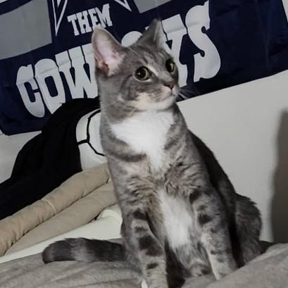 Pickles Junior - Sweet troublemaker