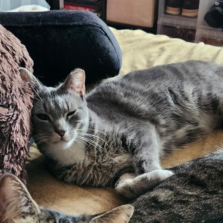 Pickles Junior - Sweet troublemaker