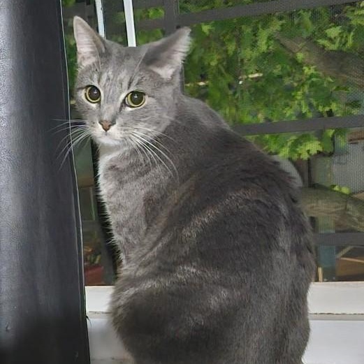 Pickles Junior - Sweet troublemaker