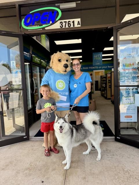 Yannie, an adopted Husky in New Smyrna Beach, FL image 3/4