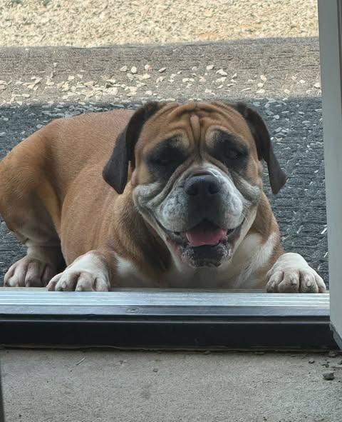 Ethel photo 3