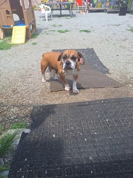 Ethel photo 4