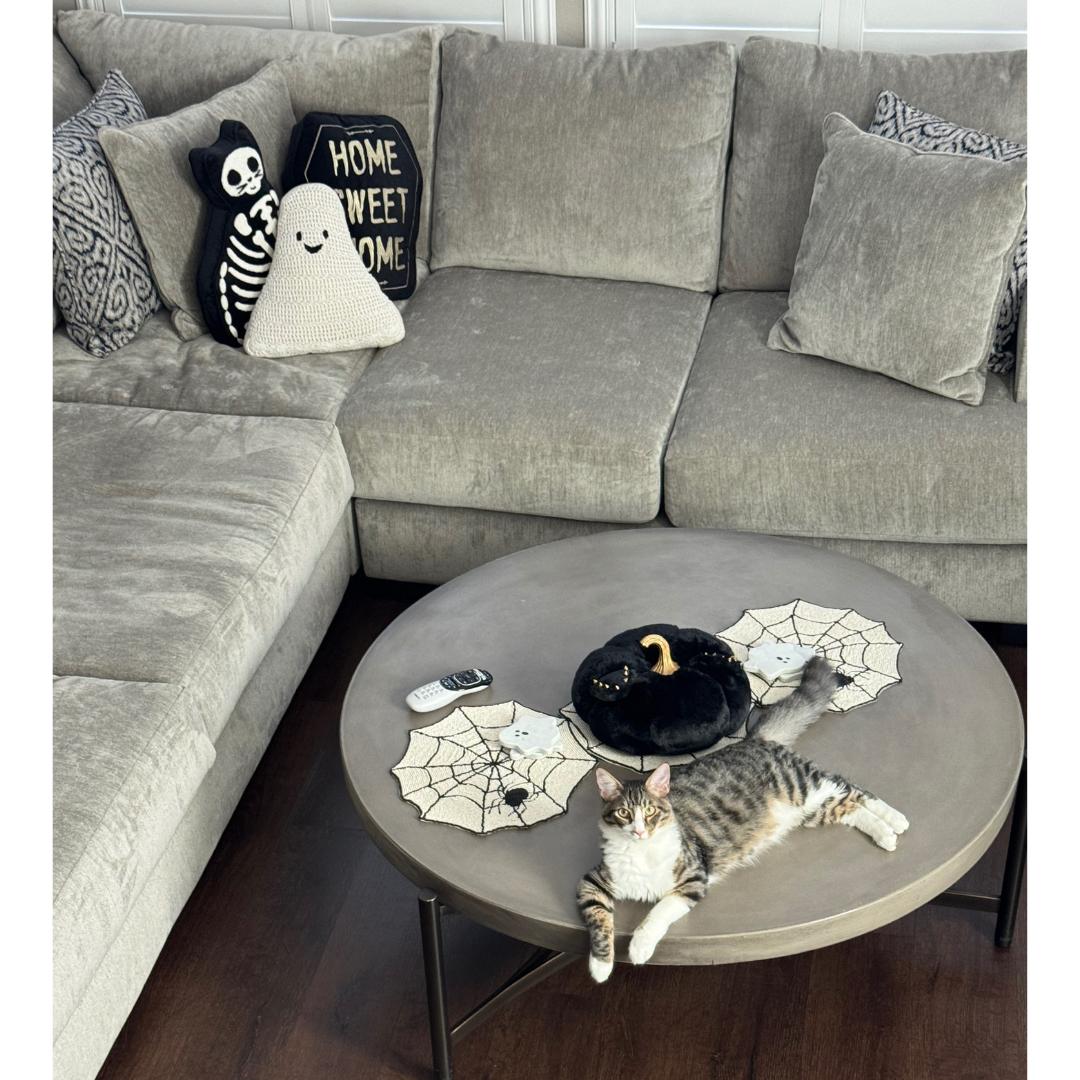 Enlarge Royce, a Adoptable mixed breed in Morgan Hill, CA image 4/6