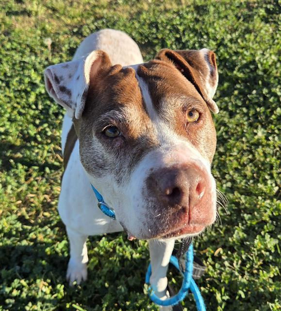 ANNABELLE — thumbnail 2