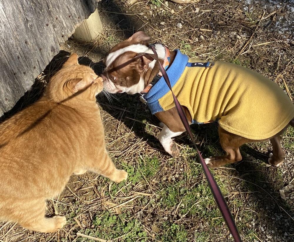 Bruce Morgan Ky thumbnail 3