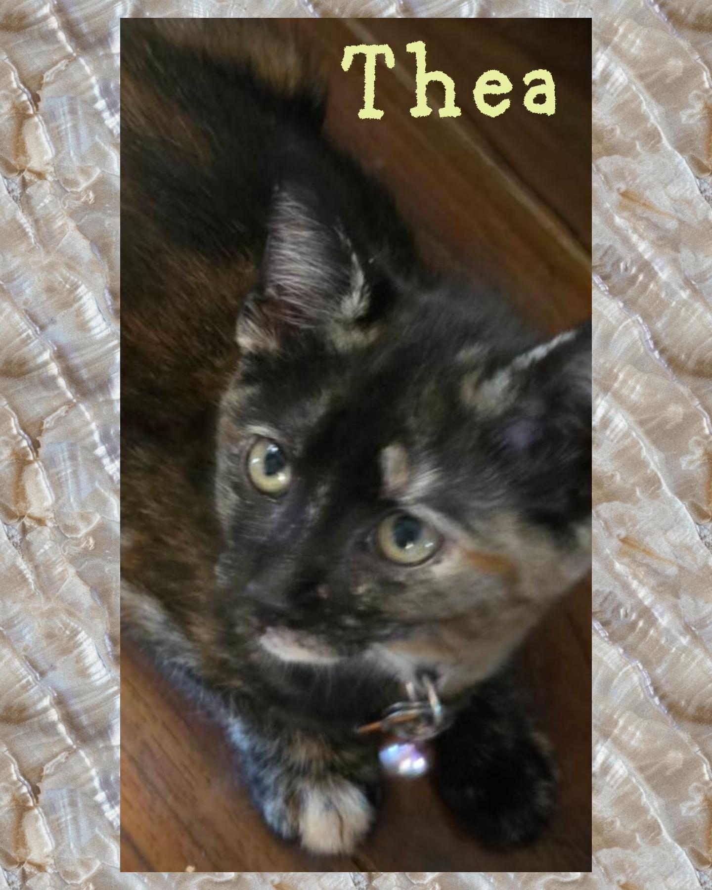 Thea