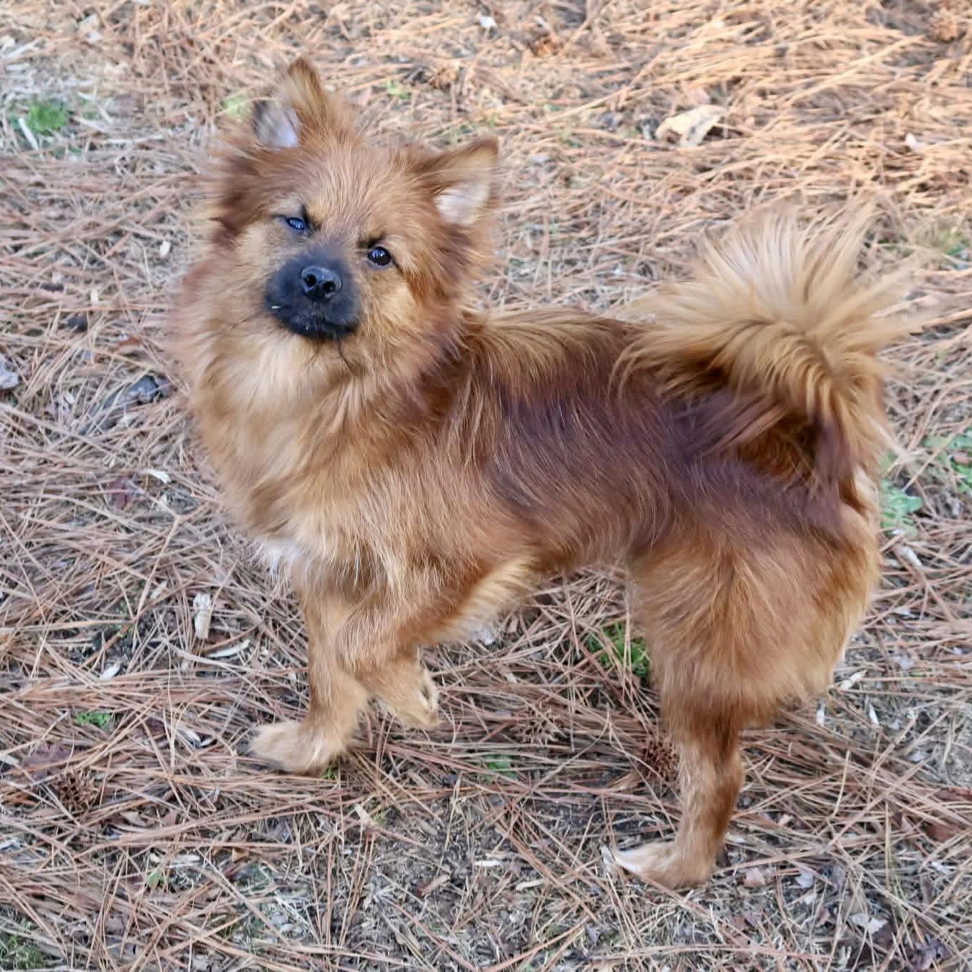 Carol Belle thumbnail 2