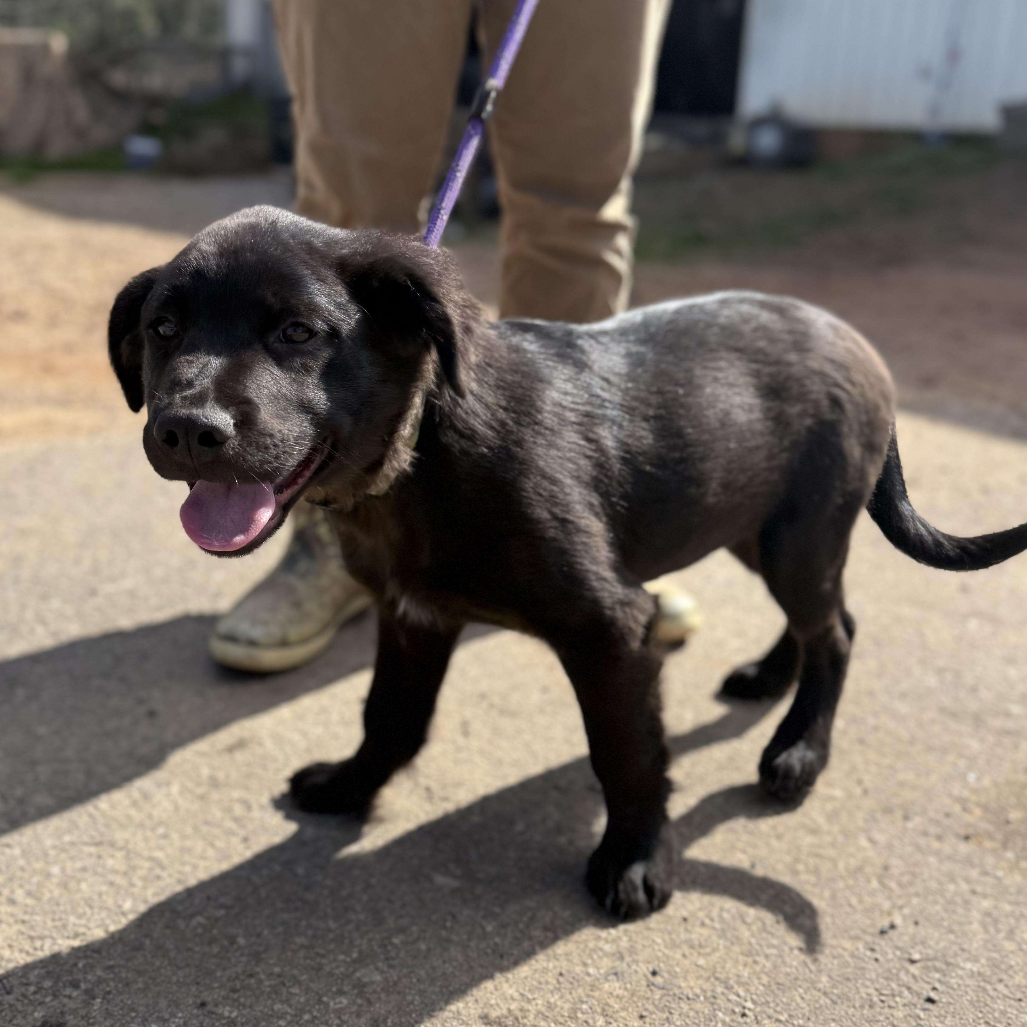 Bathtub — thumbnail 2