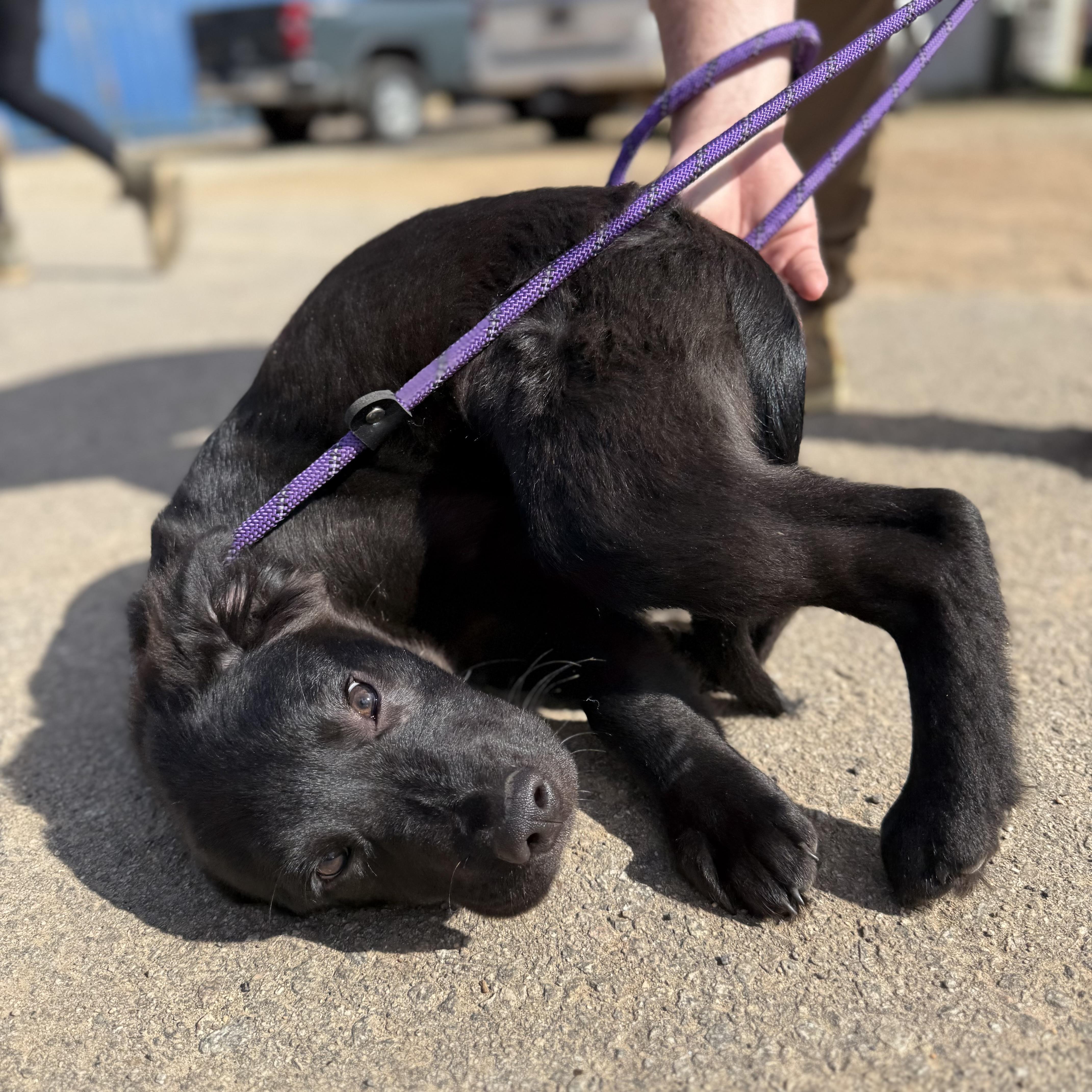 Bathtub — thumbnail 3