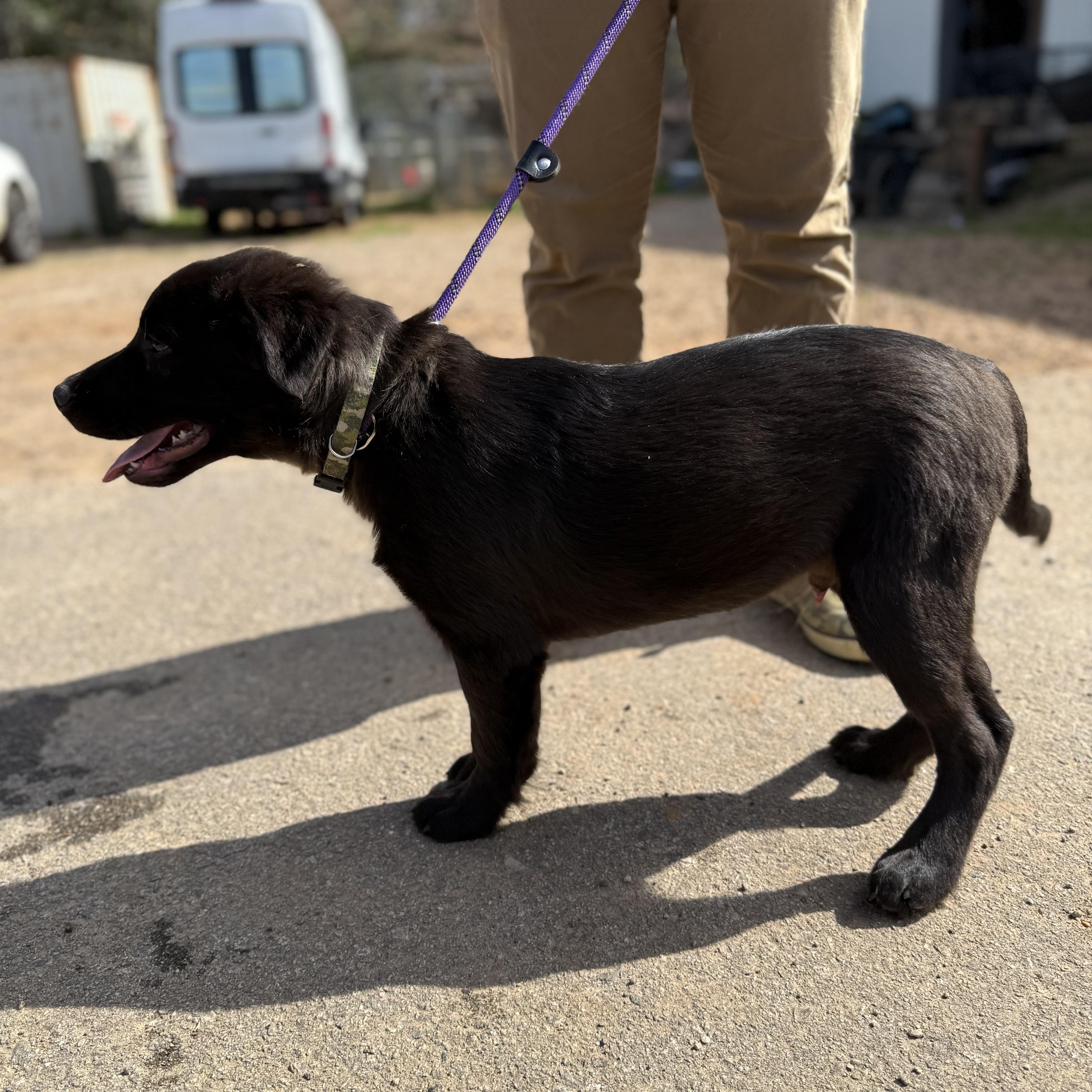 Bathtub — thumbnail 6