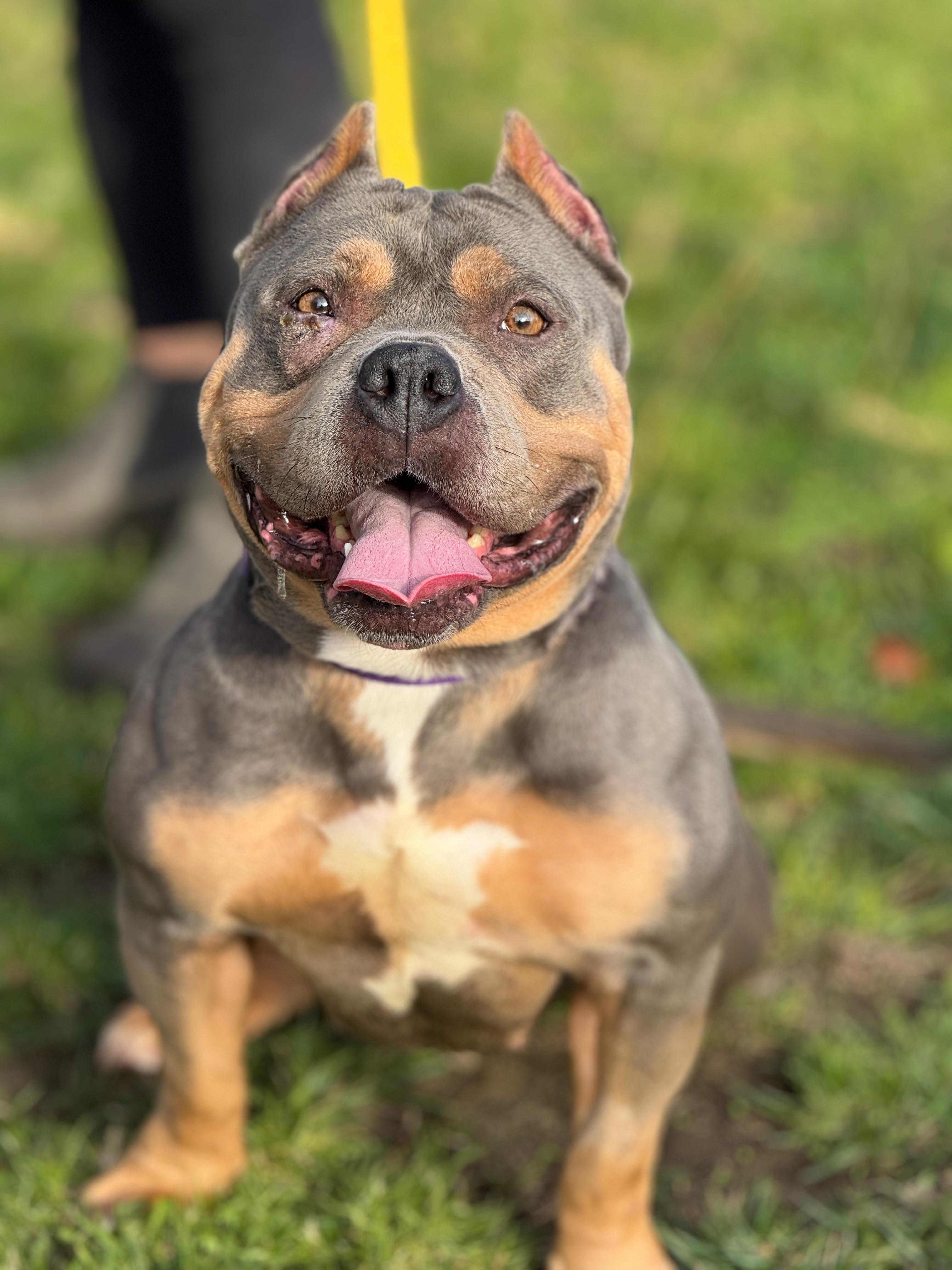 Peekaboo thumbnail 2