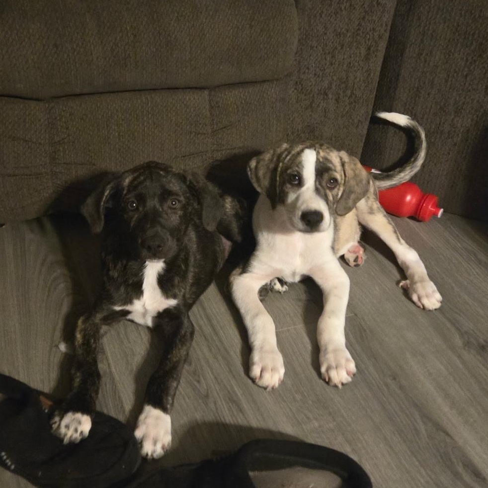 Soup and/or Crackers