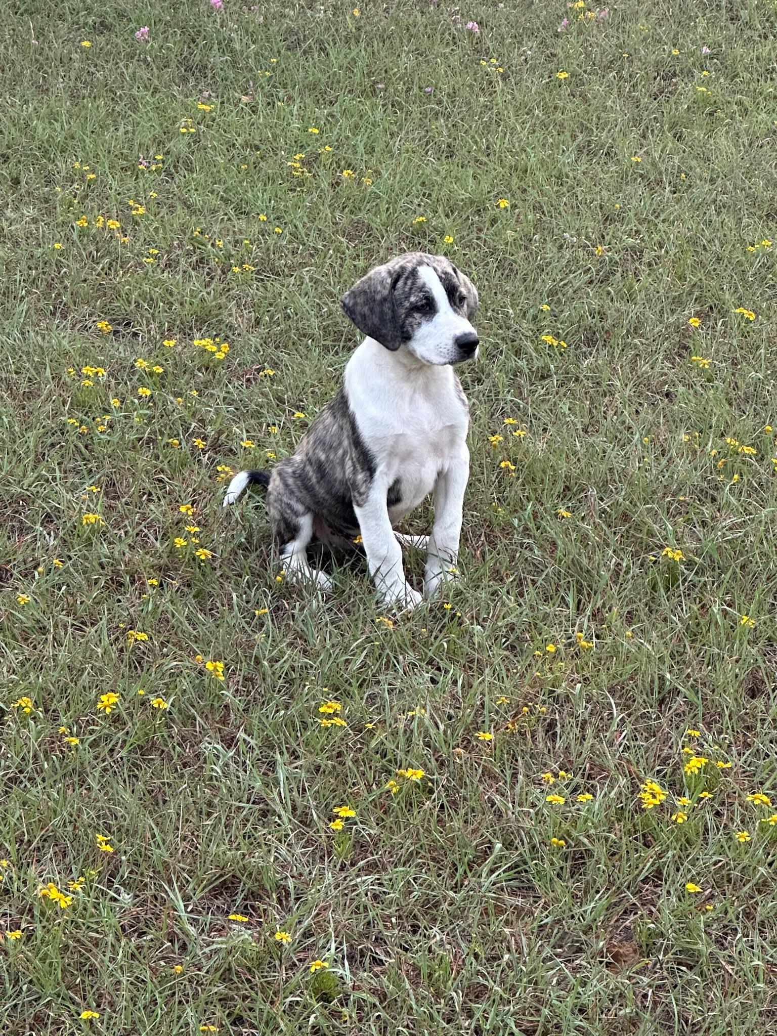 Soup and/or Crackers 4