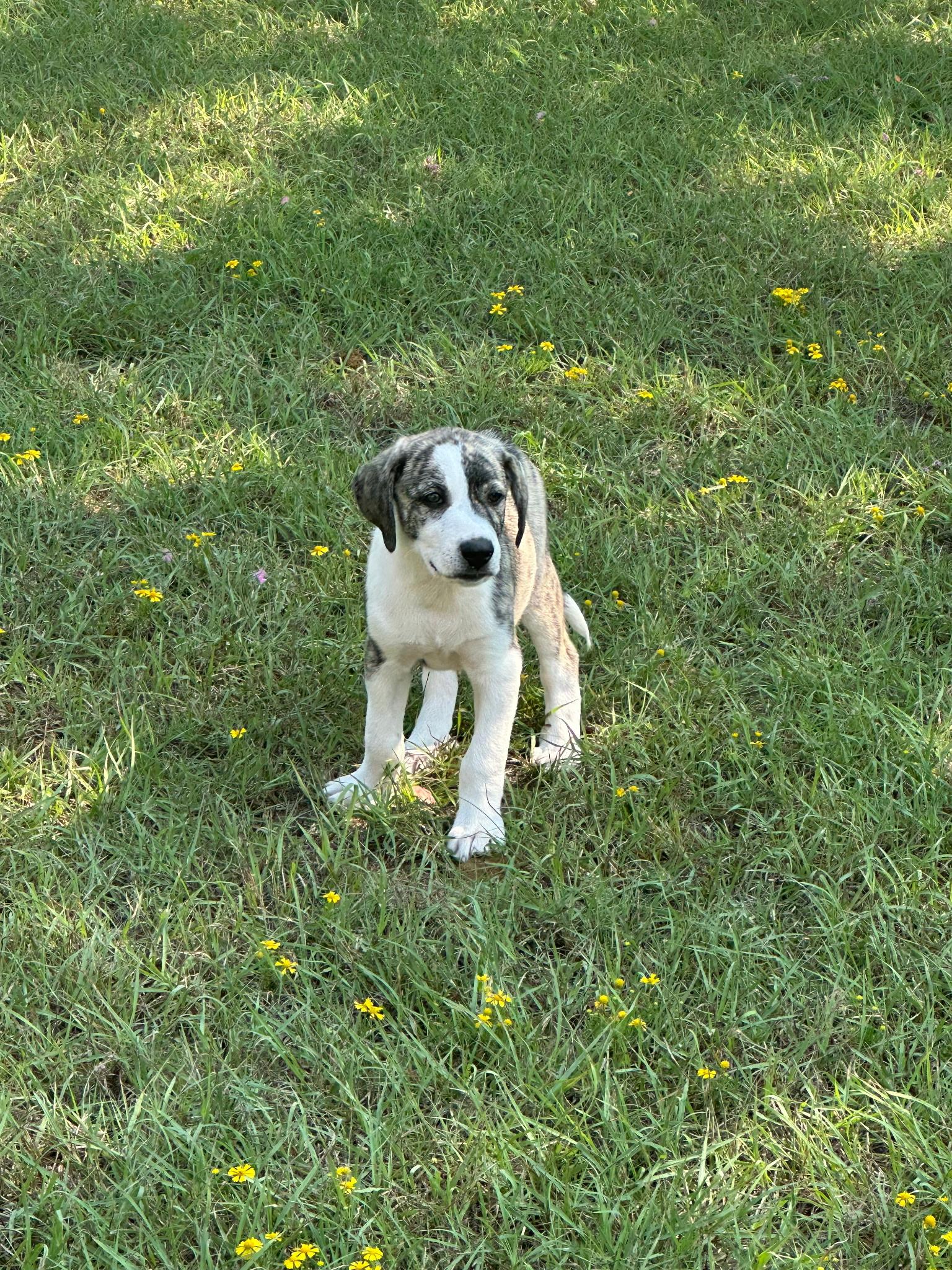 Soup and/or Crackers 5