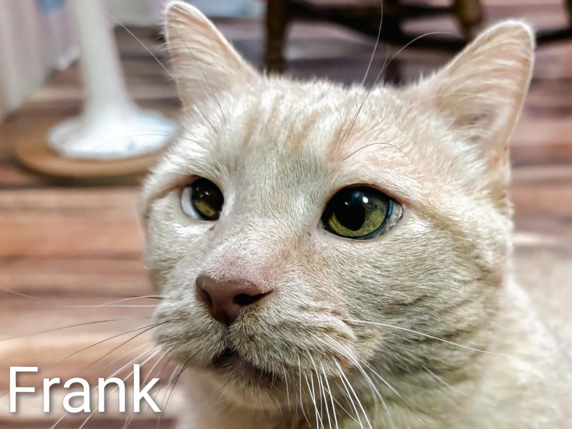 Frank ***SENIOR ALERT***