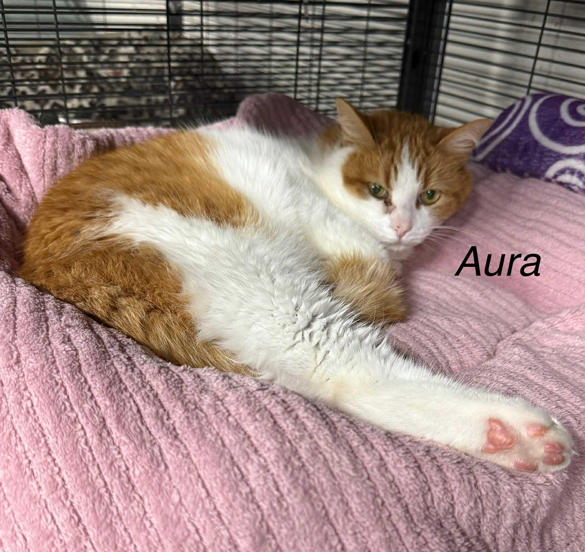 Aura