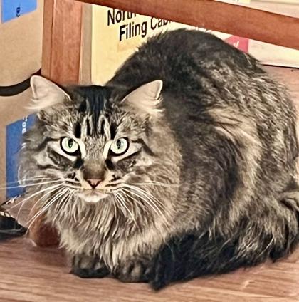 Zenway — thumbnail 4