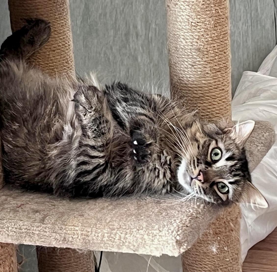 Zenway — thumbnail 5