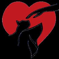 Queenie, Adoptable, Young Female Pit Bull Terrier.