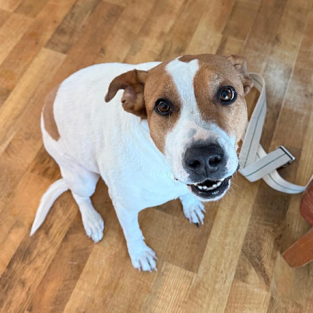 Bella FC — thumbnail 2