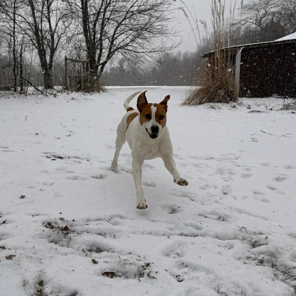 Bella FC — thumbnail 3