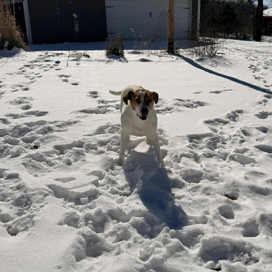 Bella FC — thumbnail 4