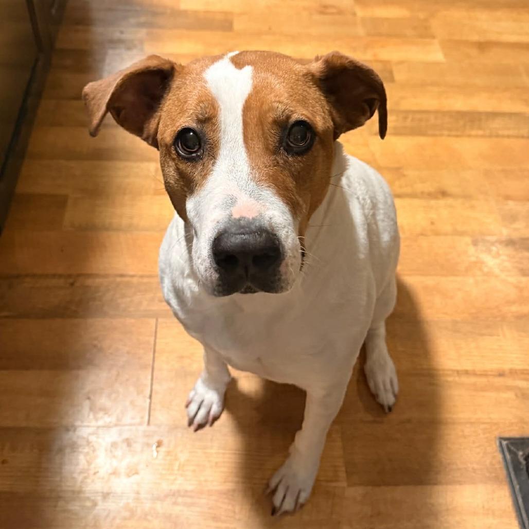 Bella FC — thumbnail 6