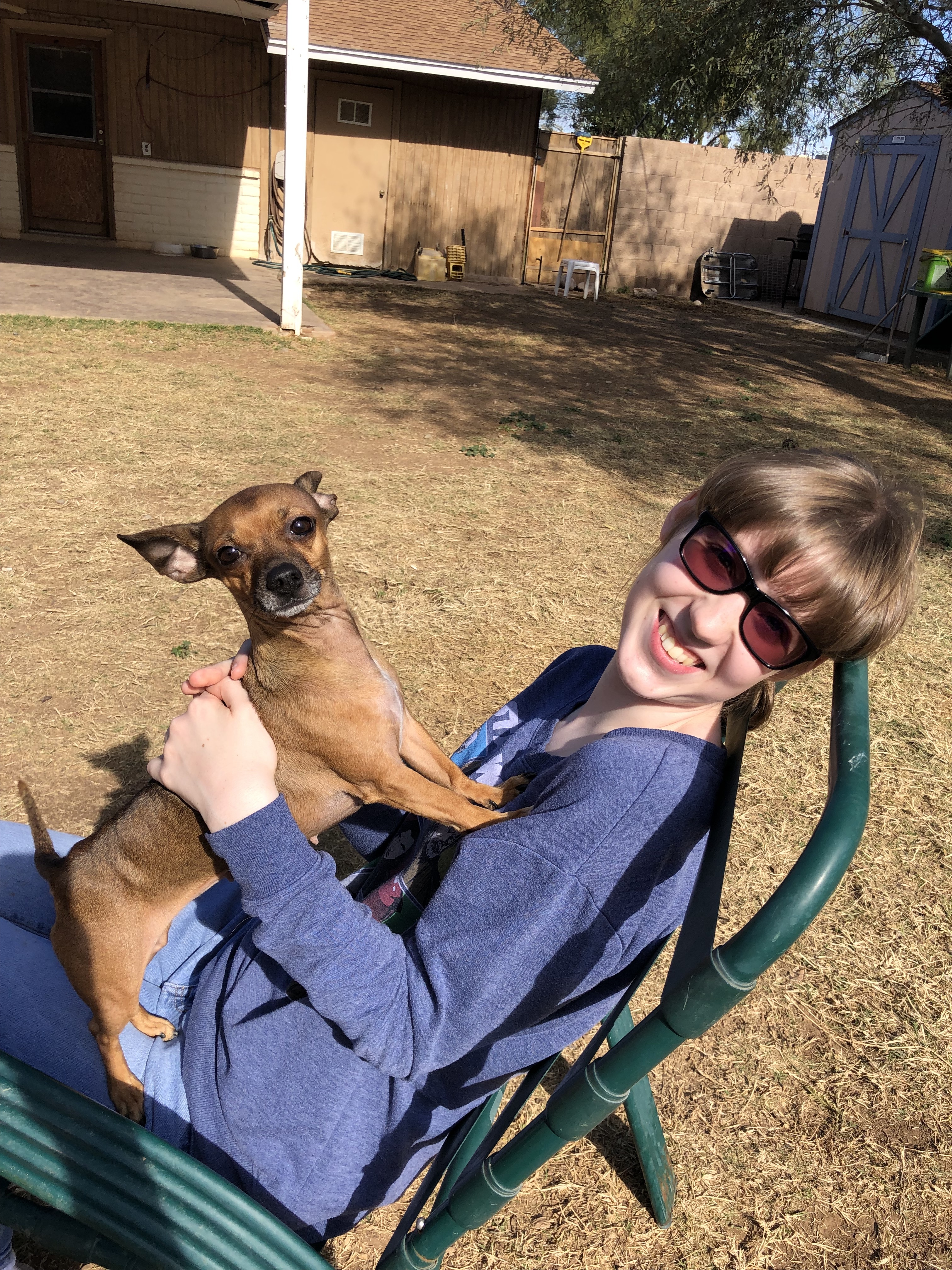 Bella, a Adoptable mixed breed in Phoenix, AZ image 4/12