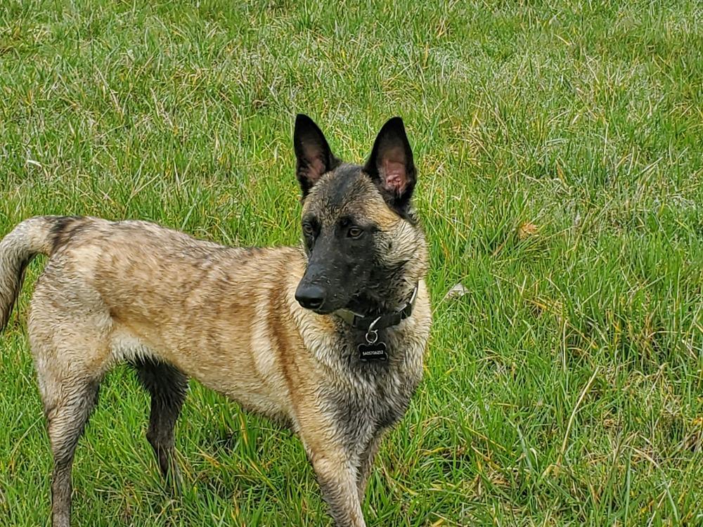 Minka - Located in OR