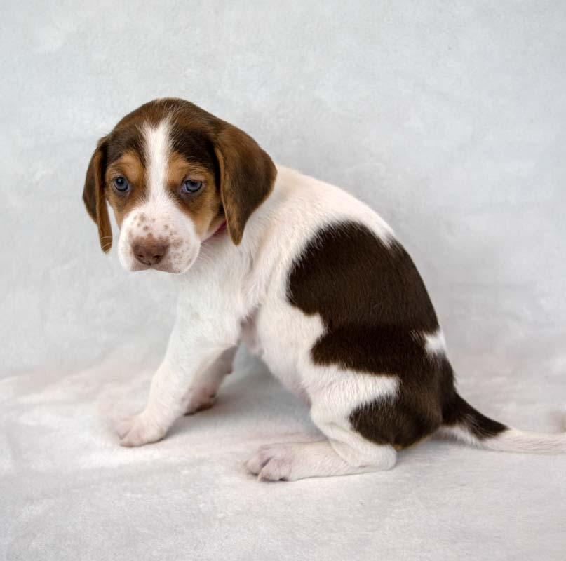 Mikaela — thumbnail 2