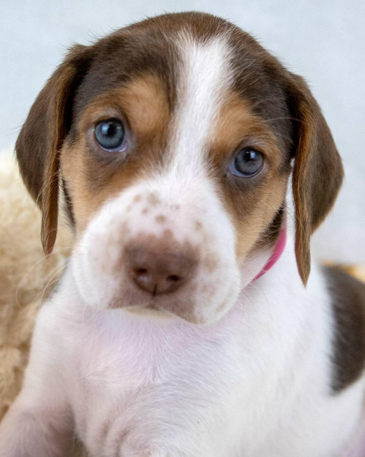 Mikaela — thumbnail 3